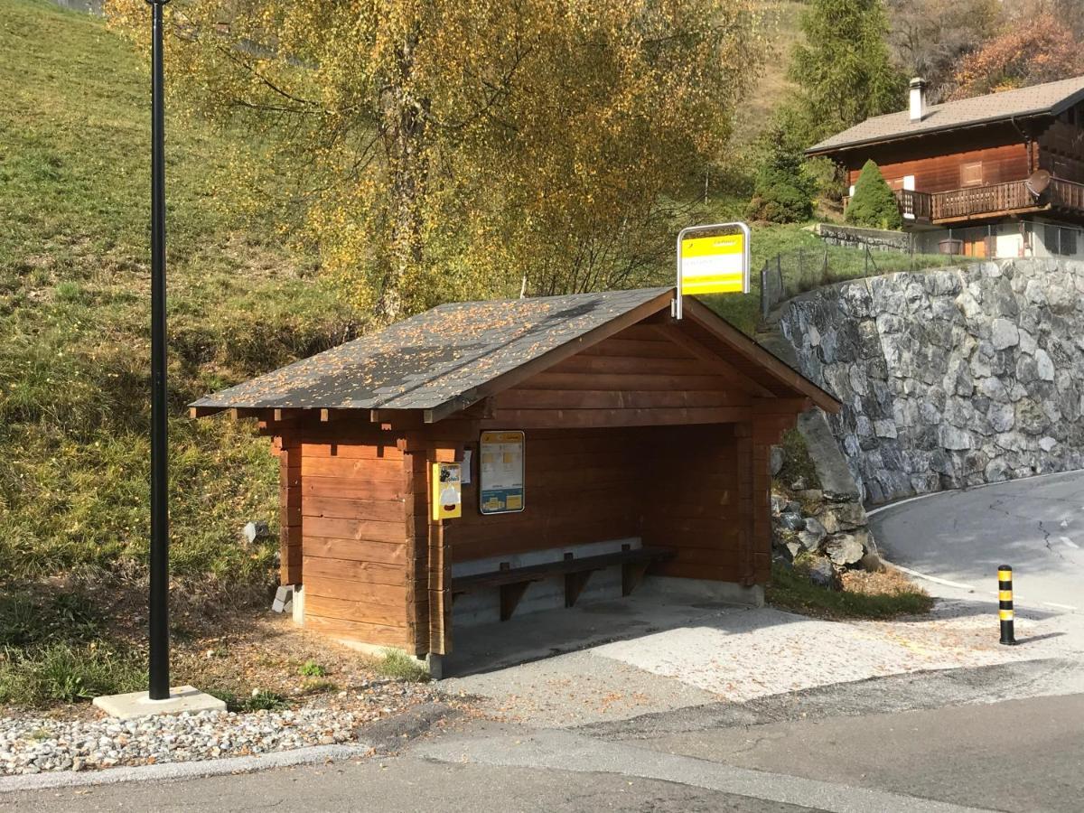 Chalet Le Fertin La Tzoumaz Exterior foto