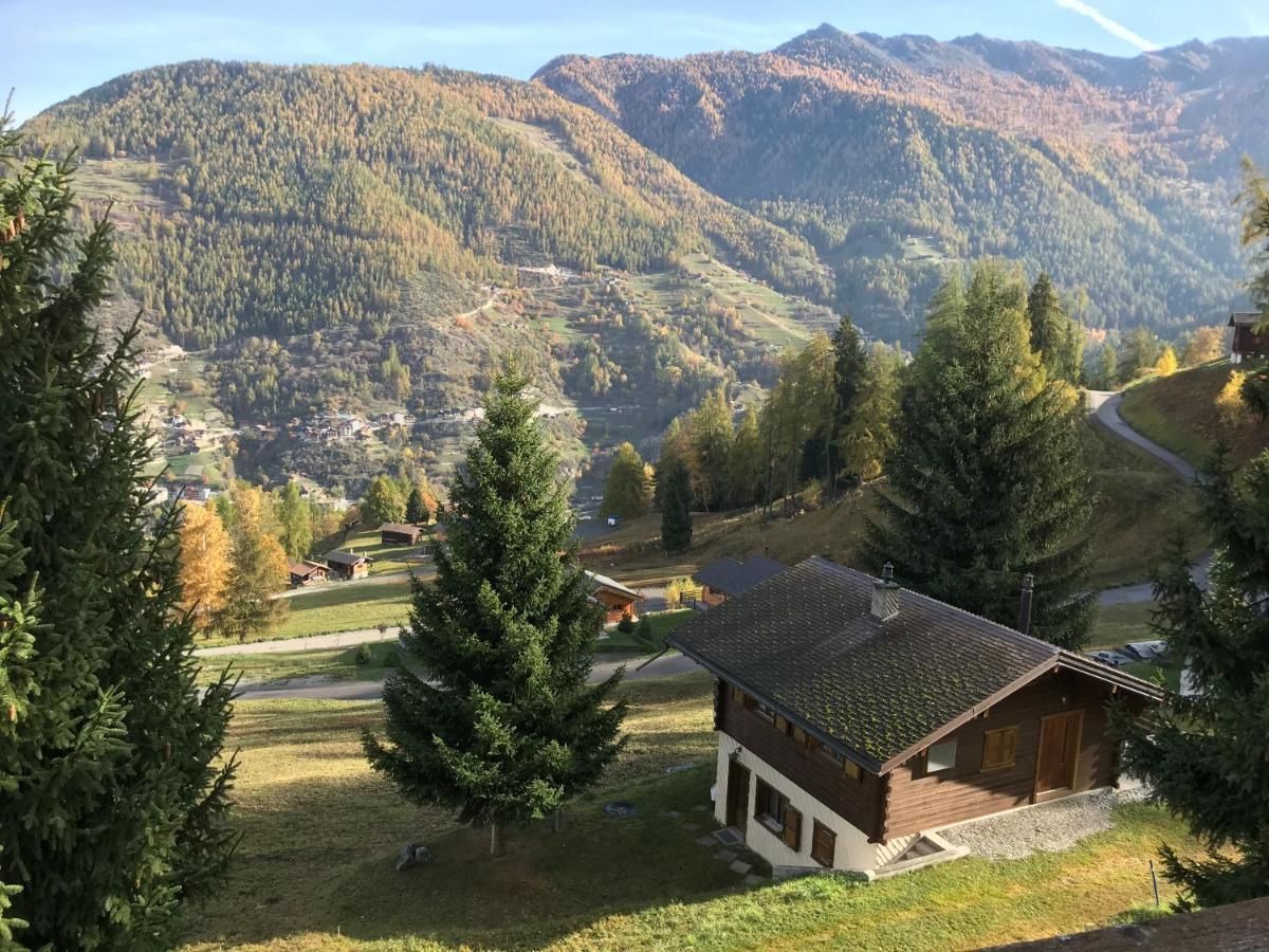 Chalet Le Fertin La Tzoumaz Exterior foto